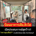 🦁🐯สวนสัตว์เปิดเขาเขียว จัดกิจกรรม "Feeding" การให้อาหารเสือขาว และสิงโตขาว