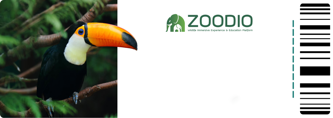 Zoo Ticket